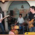 Tequila Sharks live!